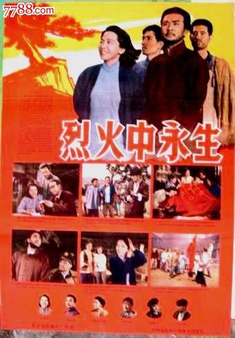 哪里能买到南非驾照